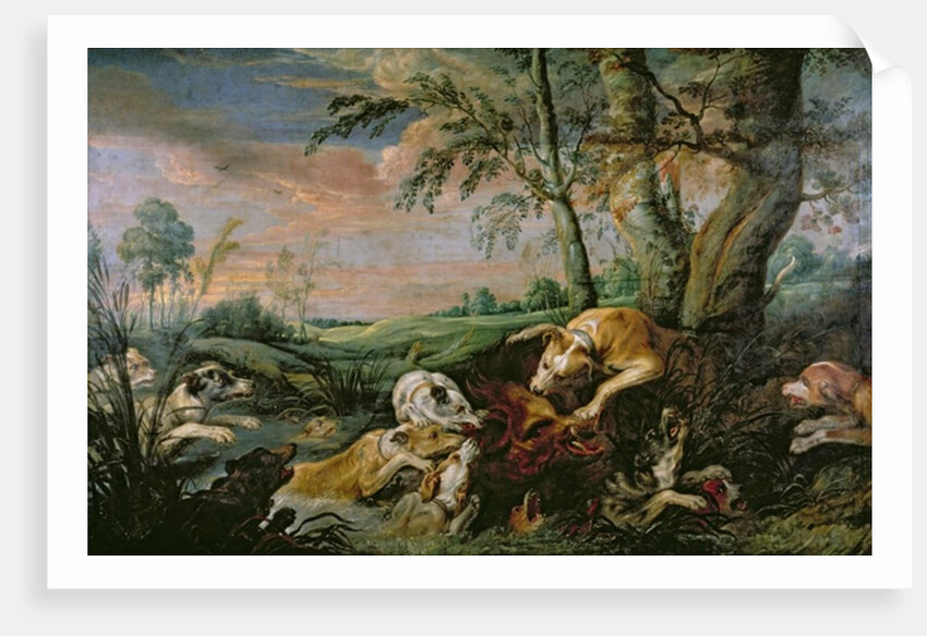 A Boar Hunt by Frans Snyders or Snijders