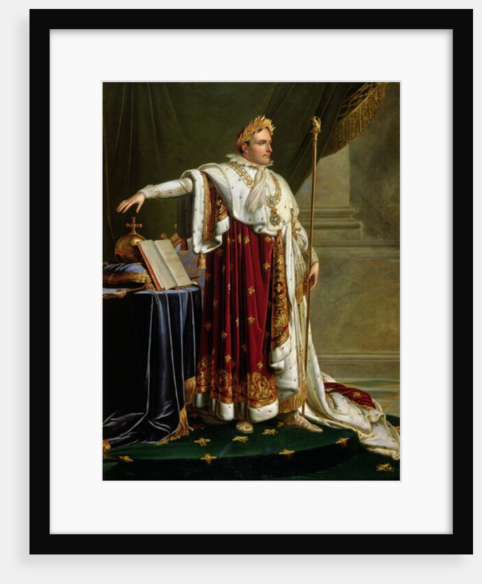Portrait of Napoleon Bonaparte by Anne Louis Girodet de Roucy-Trioson
