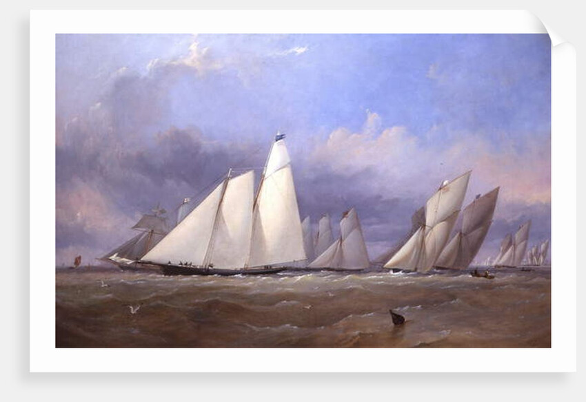 The America at Cowes, 1852 by Thomas Sewell Robins