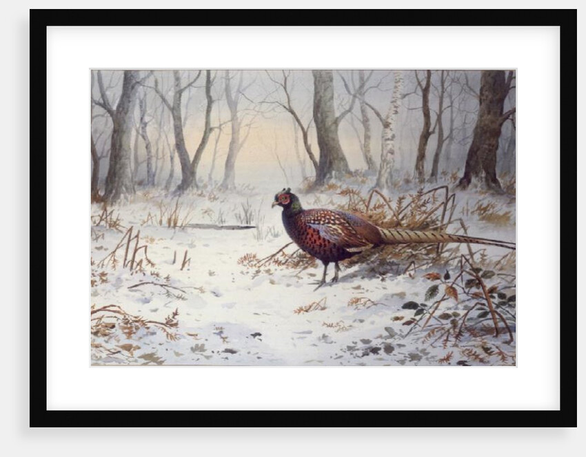 Pheasants in Snow by Carl Donner