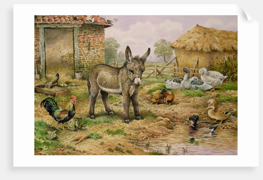 Donkey and Farmyard Fowl by Carl Donner