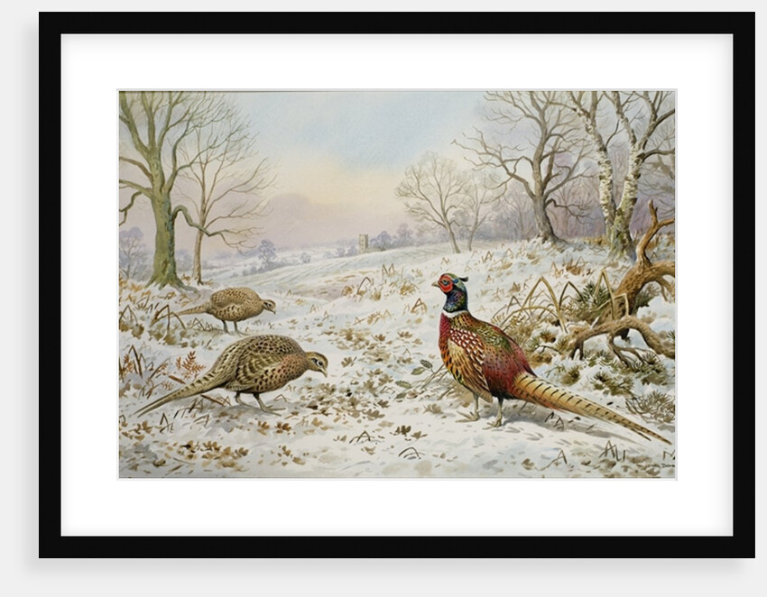 Pheasant and Partridges in a Snowy Landscape by Carl Donner