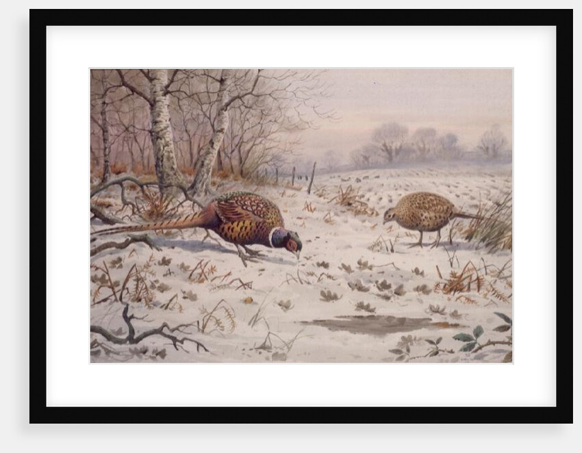 Pheasant and Partridge Eating by Carl Donner