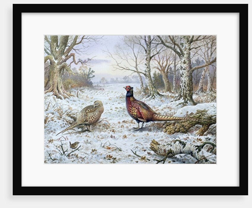 Pair of Pheasants with a Wren by Carl Donner