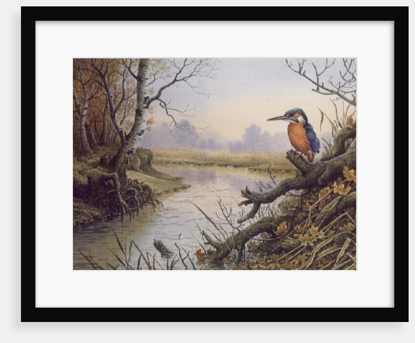 Kingfisher: Autumn River Scene by Carl Donner