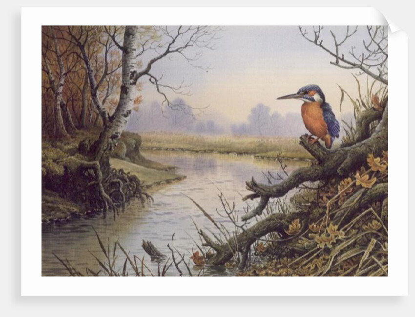Kingfisher: Autumn River Scene by Carl Donner
