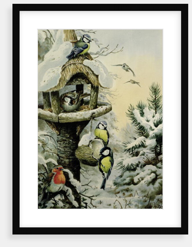 Winter Bird Table with Blue Tits, Great Tits, House Sparrows and a Robin by Carl Donner