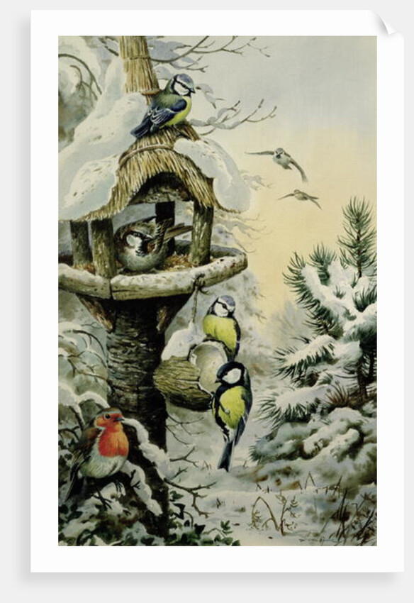 Winter Bird Table with Blue Tits, Great Tits, House Sparrows and a Robin by Carl Donner