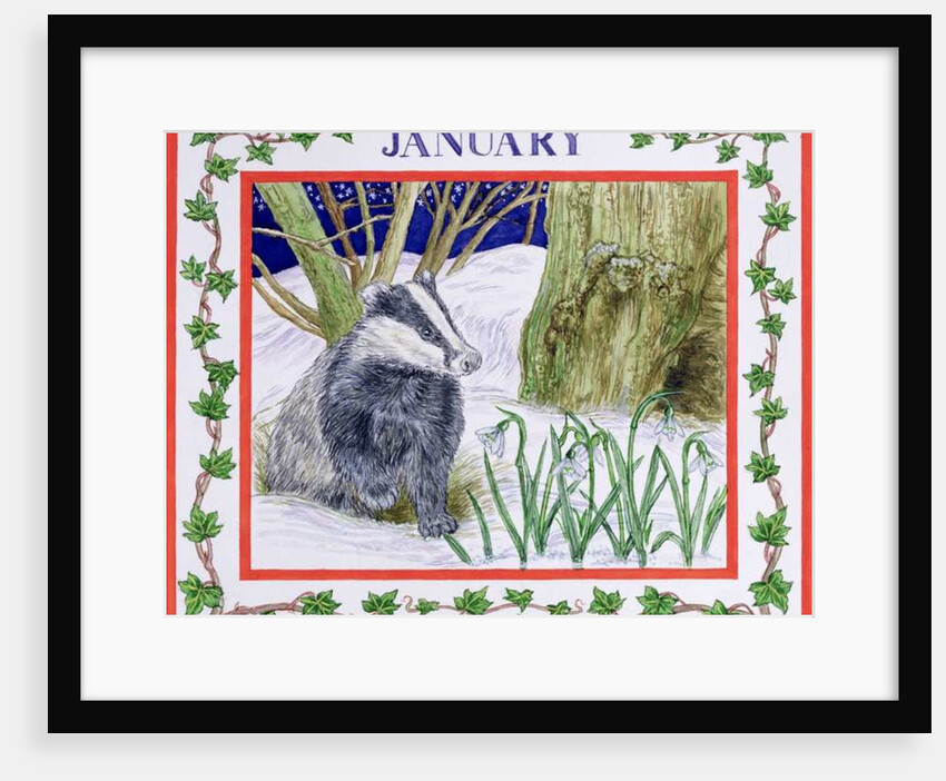January by Catherine Bradbury