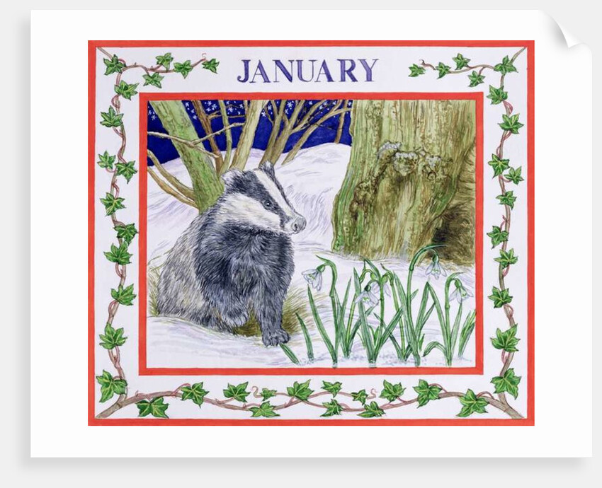 January by Catherine Bradbury