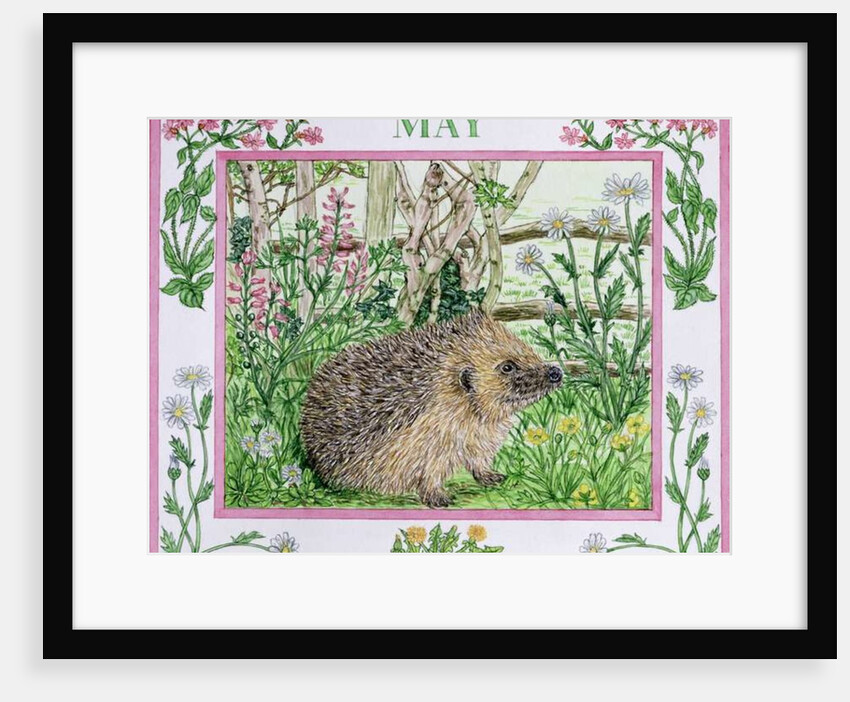 May by Catherine Bradbury