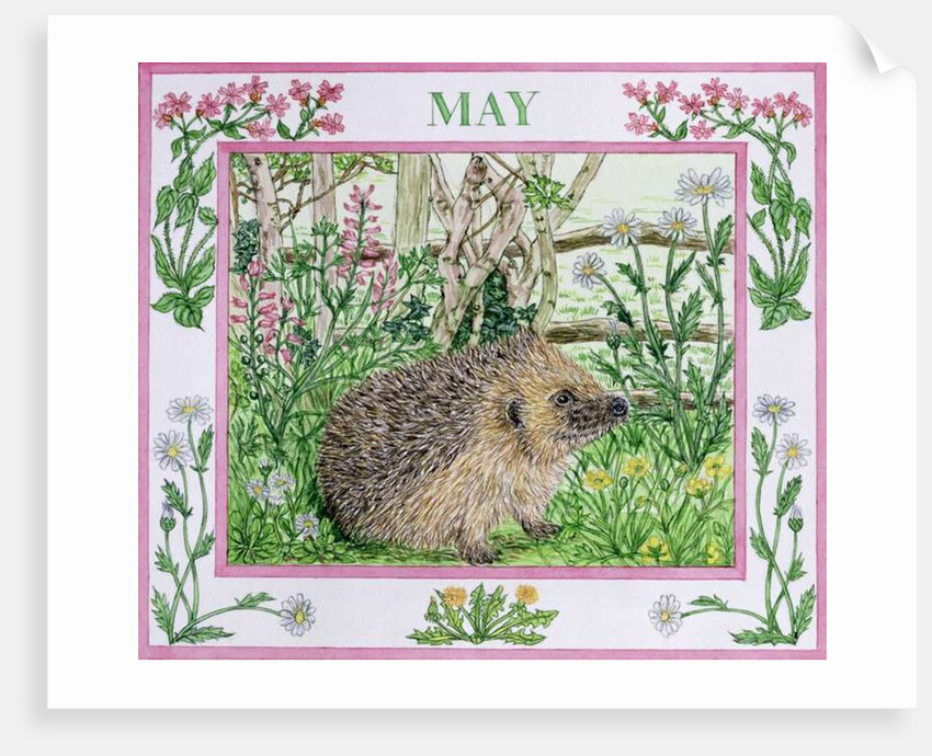 May by Catherine Bradbury