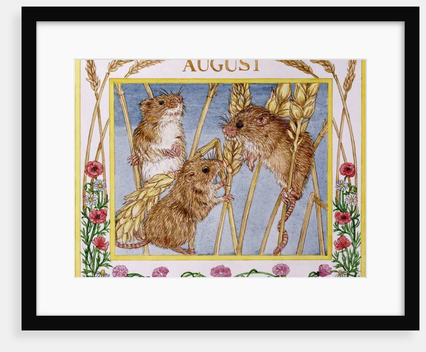 August by Catherine Bradbury