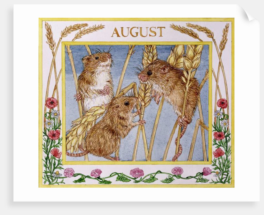 August by Catherine Bradbury