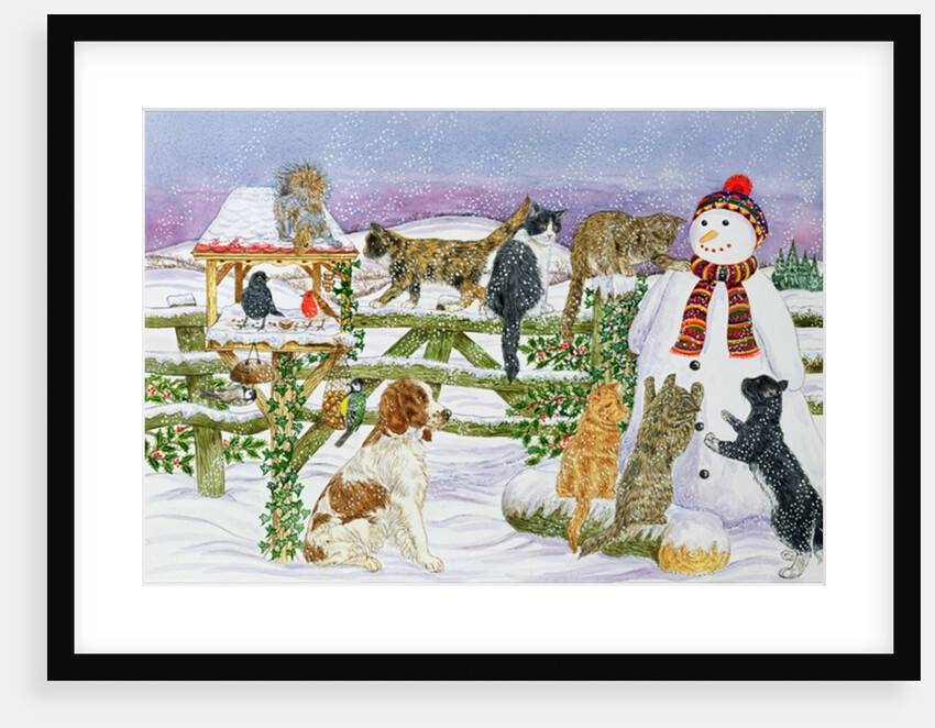 The Snowman and his Friends by Catherine Bradbury