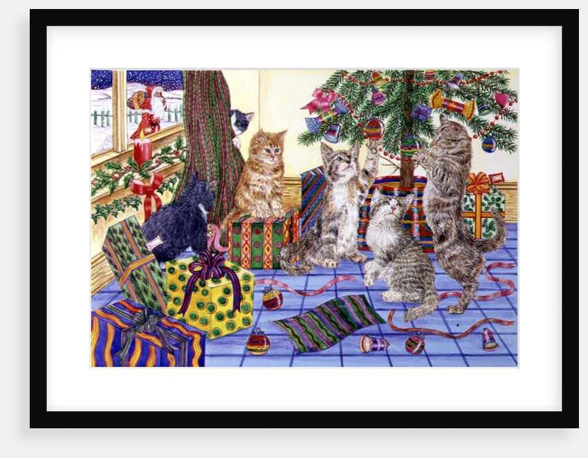 The Cats' Christmas by Catherine Bradbury