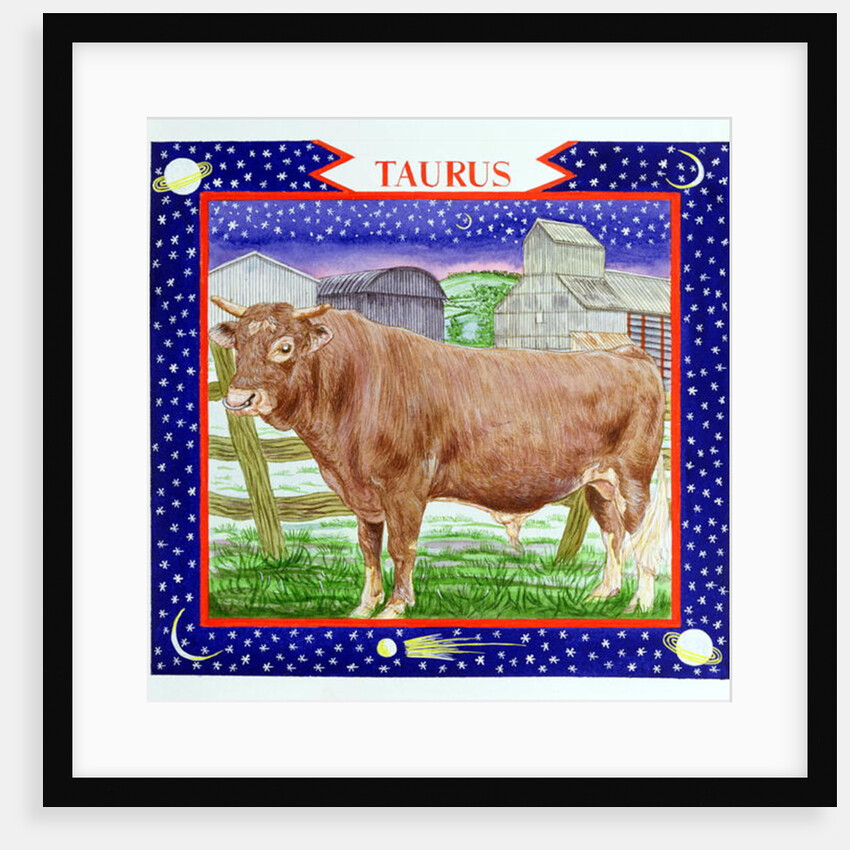 Taurus by Catherine Bradbury