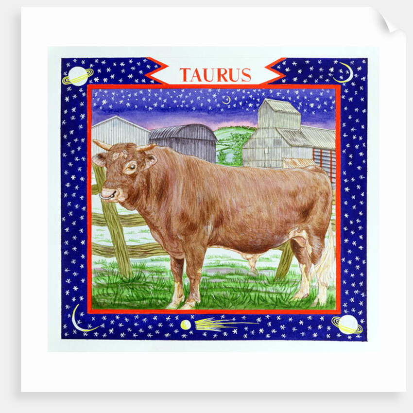 Taurus by Catherine Bradbury
