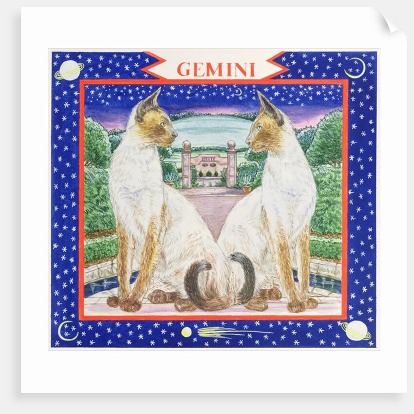 Gemini by Catherine Bradbury