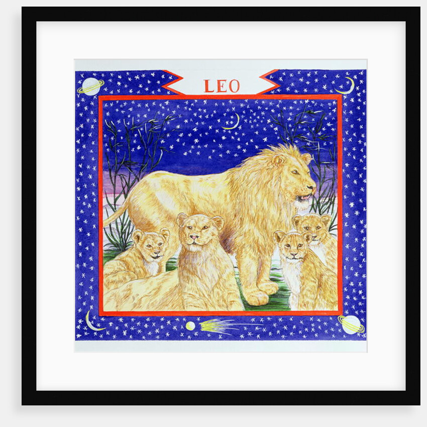 Leo by Catherine Bradbury