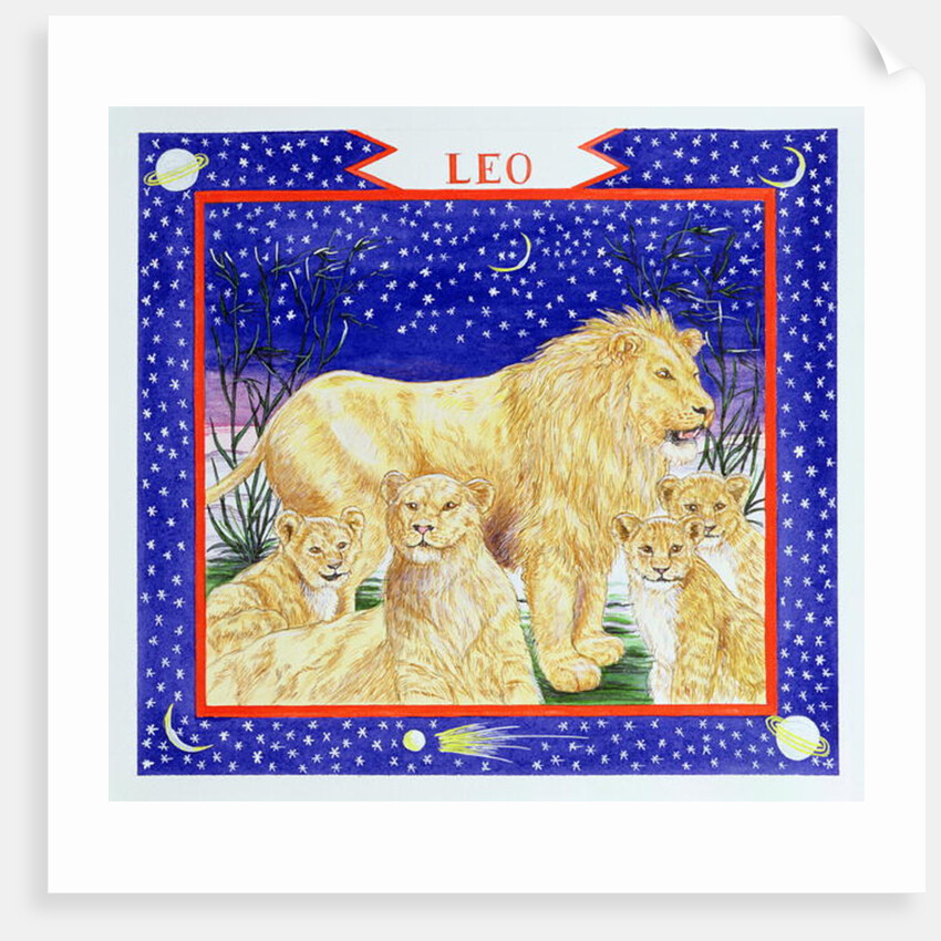 Leo by Catherine Bradbury