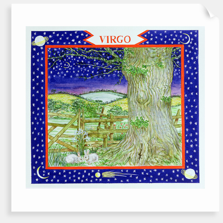 Virgo by Catherine Bradbury