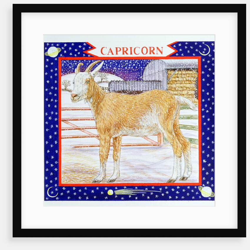Capricorn by Catherine Bradbury