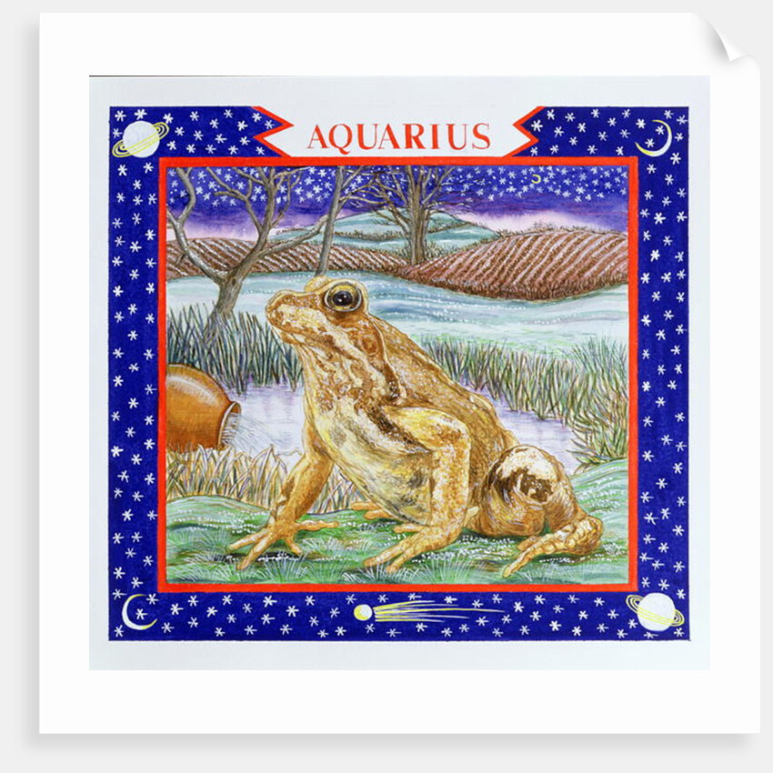 Aquarius by Catherine Bradbury