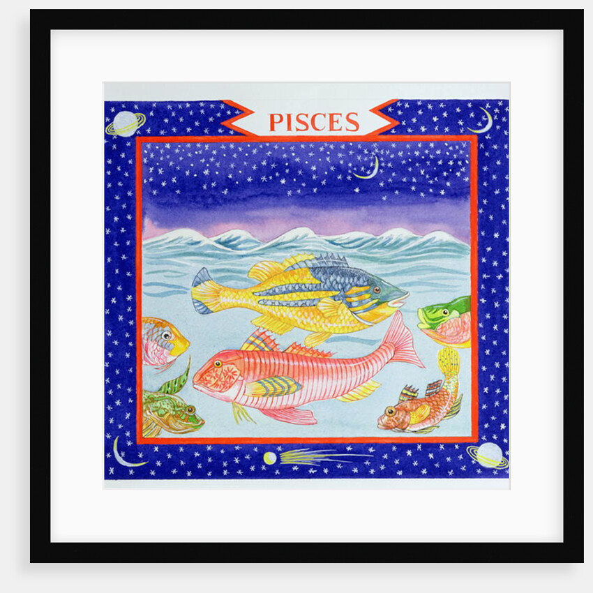 Pisces by Catherine Bradbury
