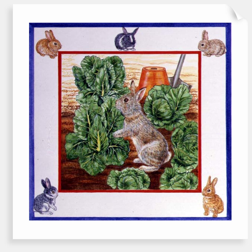 A Rabbit in the Cabbage Patch by Catherine Bradbury
