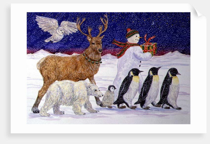 A Present for Santa by Catherine Bradbury