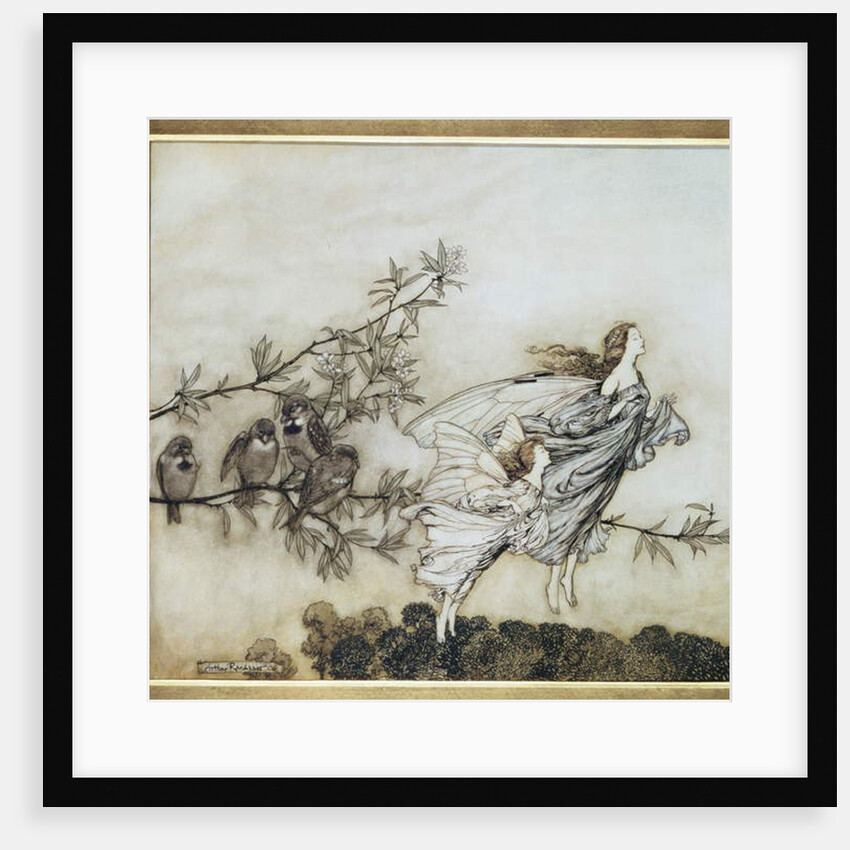 The Fairies have their Tiff with the Birds, 1906 by Arthur Rackham