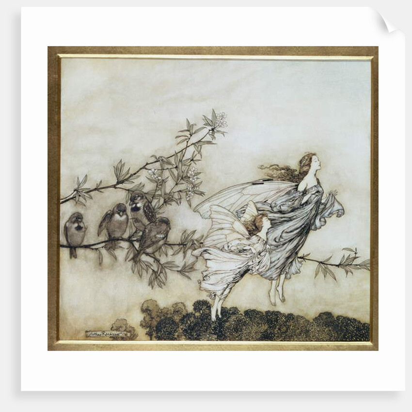 The Fairies have their Tiff with the Birds, 1906 by Arthur Rackham