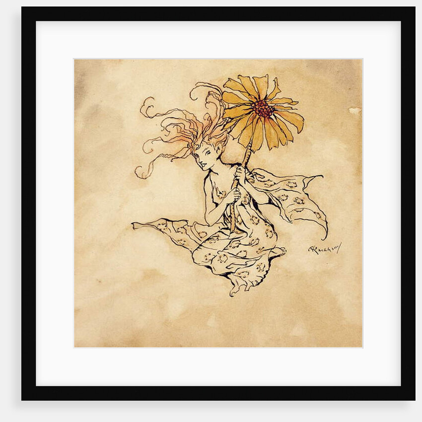 Daisy Fairy by Arthur Rackham