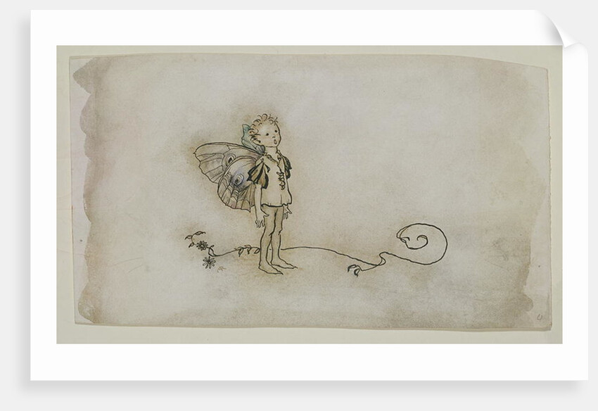 The Fairies' Thing by Arthur Rackham