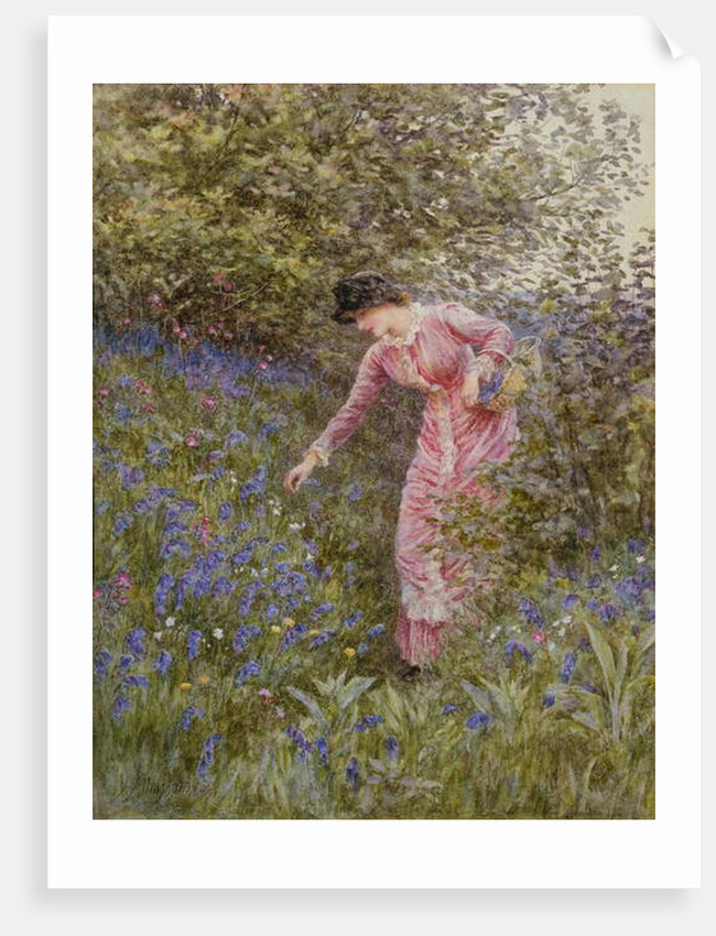 Gathering Bluebells by Helen Allingham