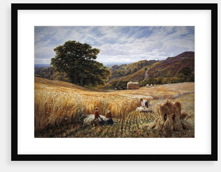 Harvest time near Holmbury Hill, Surrey, 1865 by George Vicat Cole