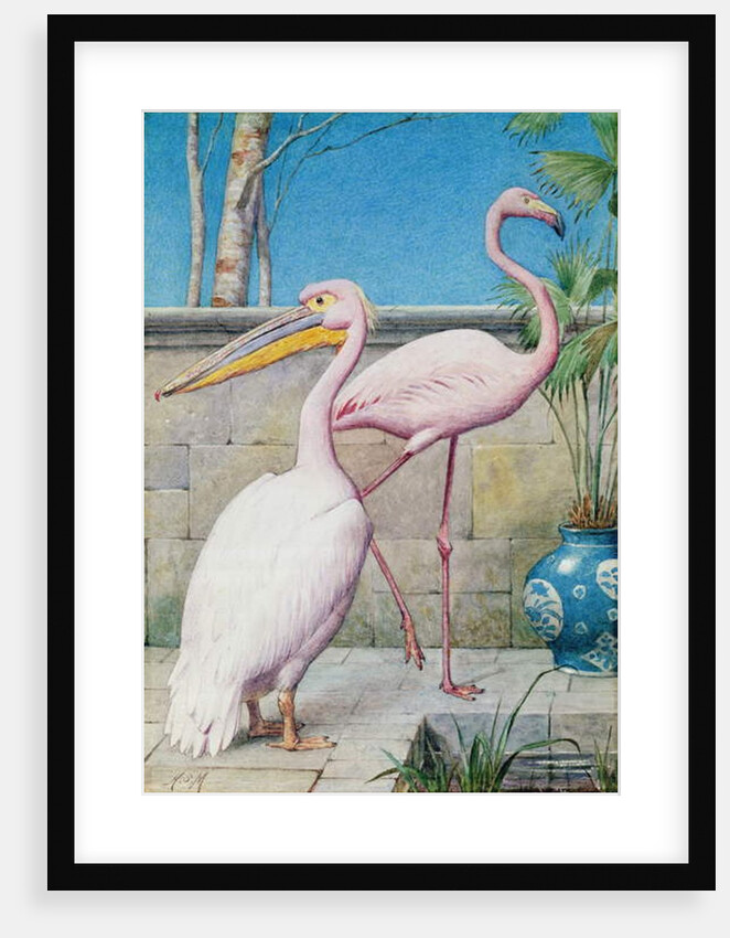 Pelican and Flamingo by Henry Stacy Marks
