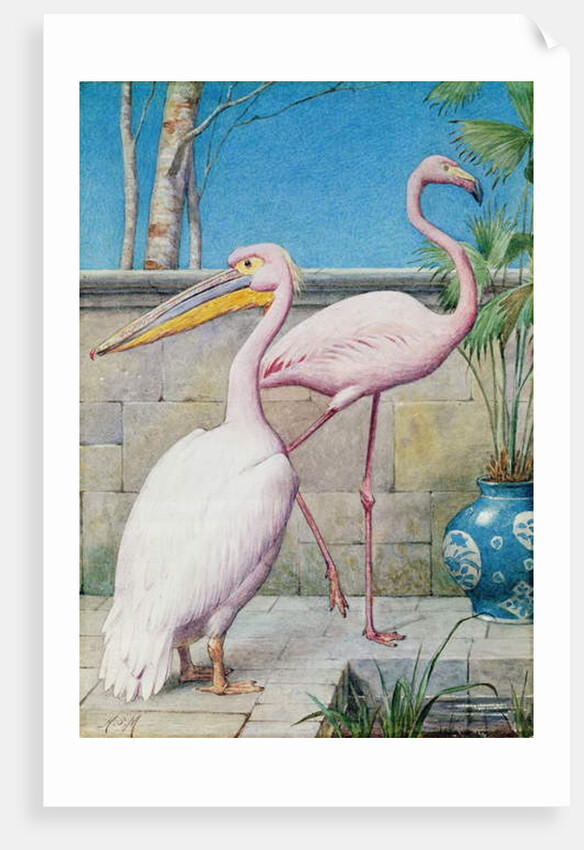 Pelican and Flamingo by Henry Stacy Marks