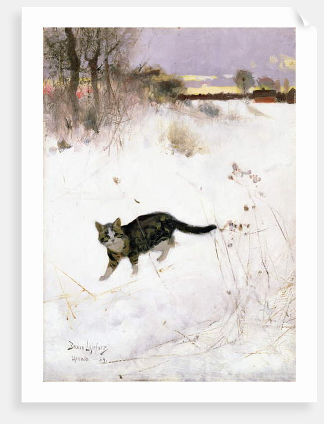 Cat Stalking over Snow, 1884 by Bruno Andreas Liljefors