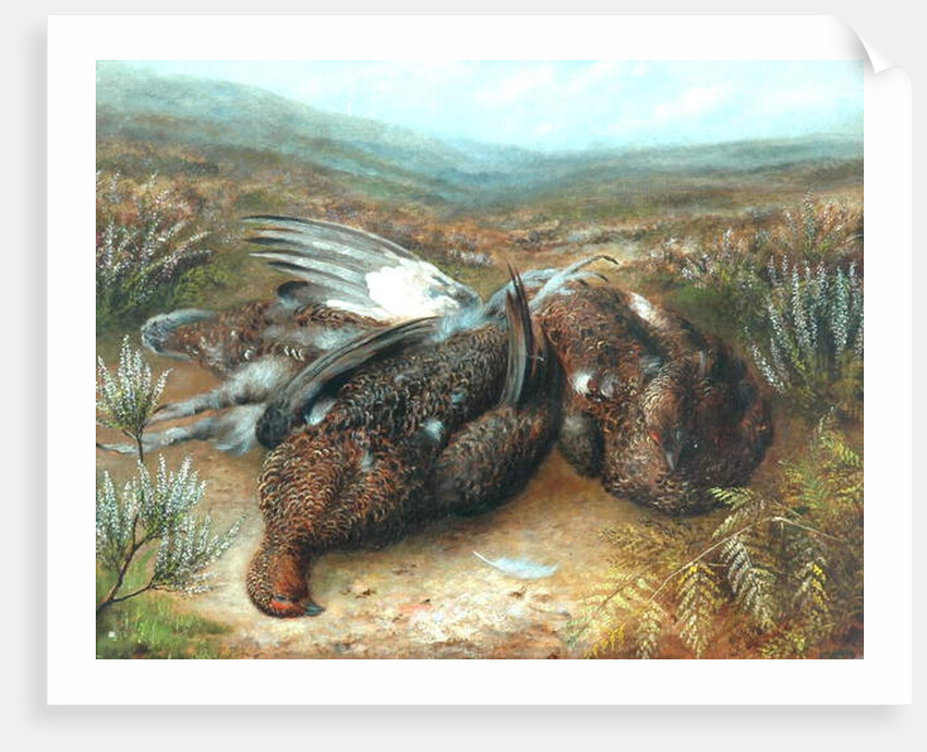 Dead Grouse in Landscape by Unknown Artist