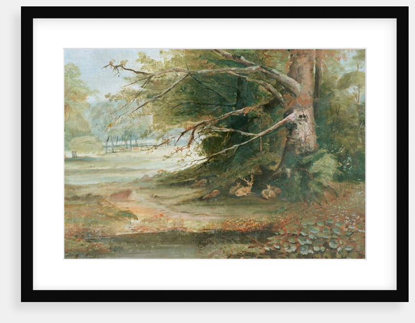 Deer in a Woodland Glade by Unknown Artist