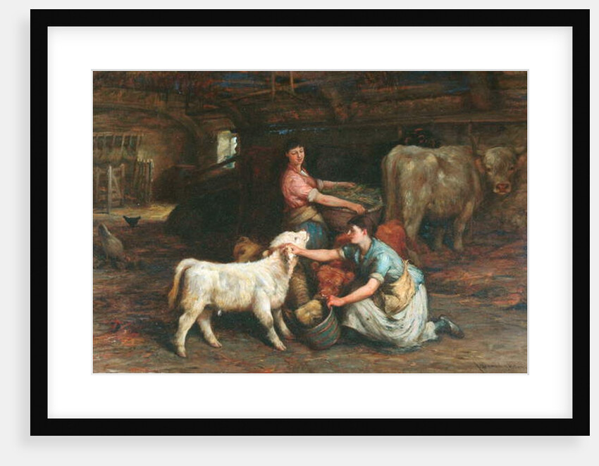 Feeding The Calves by Joseph Denovan Adam