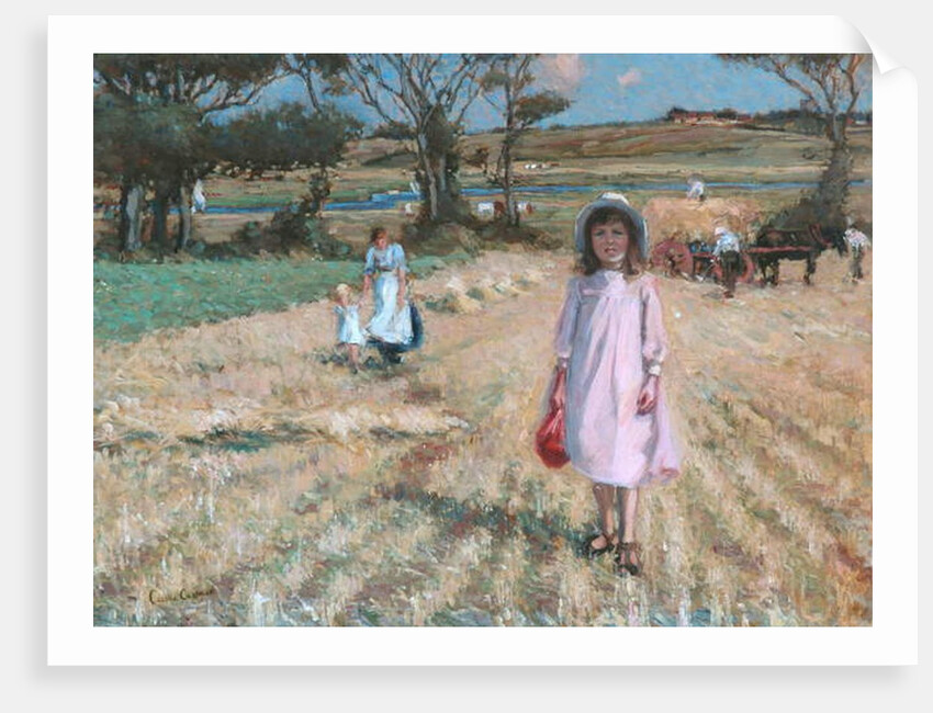 Across the Cornfield by Cecilia Carpmael