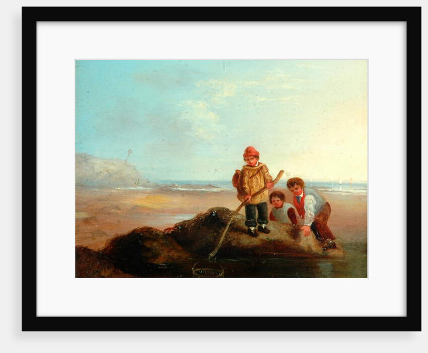 The Shrimpers by William Collins