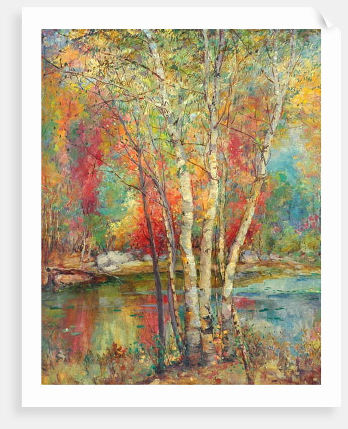 Silver Birches, c.1929 by Mary Ella Williams Dignam