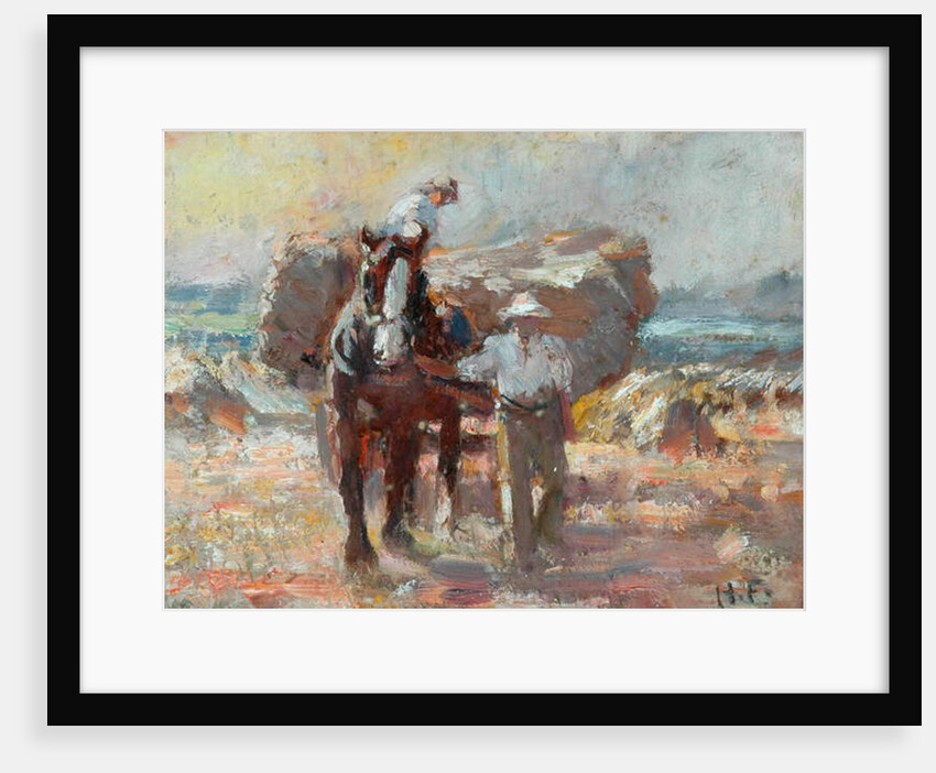 The Harvester by Harry Fidler