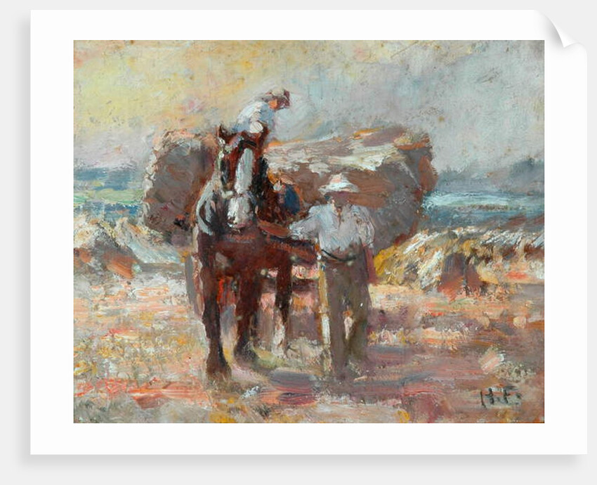 The Harvester by Harry Fidler