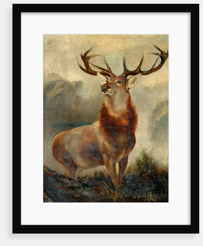 Stag At Bay by James Ford