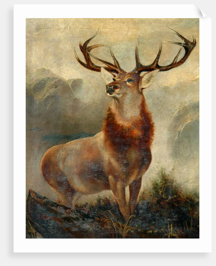 Stag At Bay by James Ford